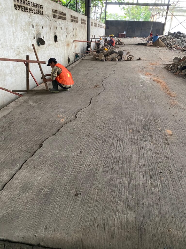 WhatsApp Image 2025-12-11 at 19.46.38_155b4606