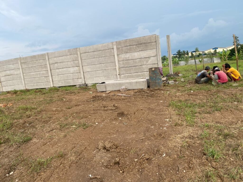 WhatsApp Image 2025-12-12 at 16.12.37_86144b3b